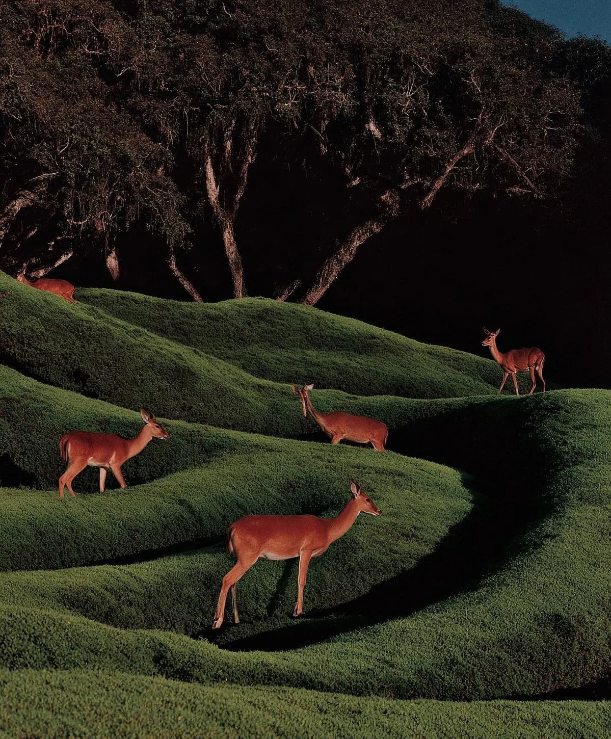 AI-generated deer moving through sculpted green terrain
